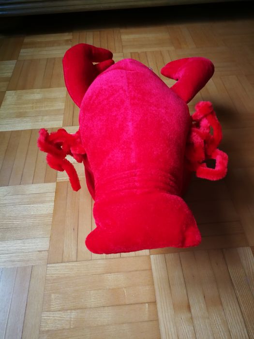 Krab, rak, maskotka, przebranie na bal