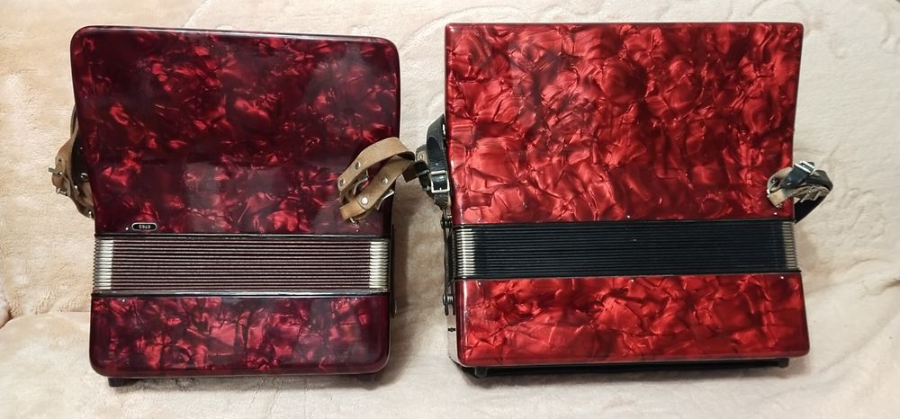 3/4 акордеон Weltmeister Serino 5+3.