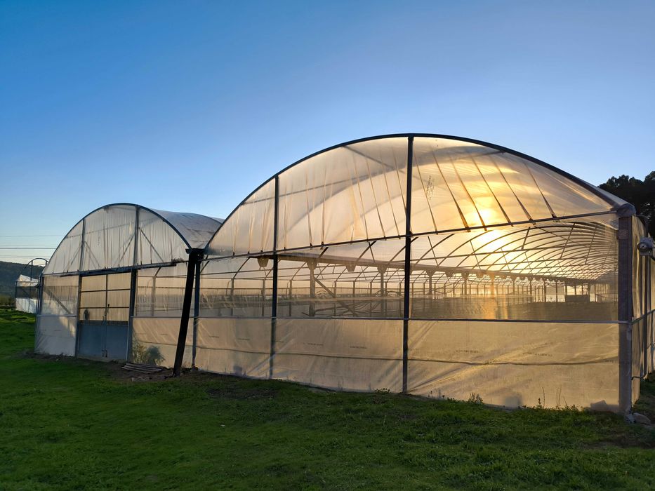 2 estufas agrícolas