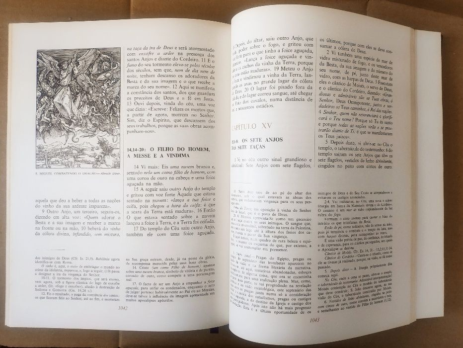 BÍBLIA SAGRADA ILUSTRADA - Antigo e Novo Testamentos