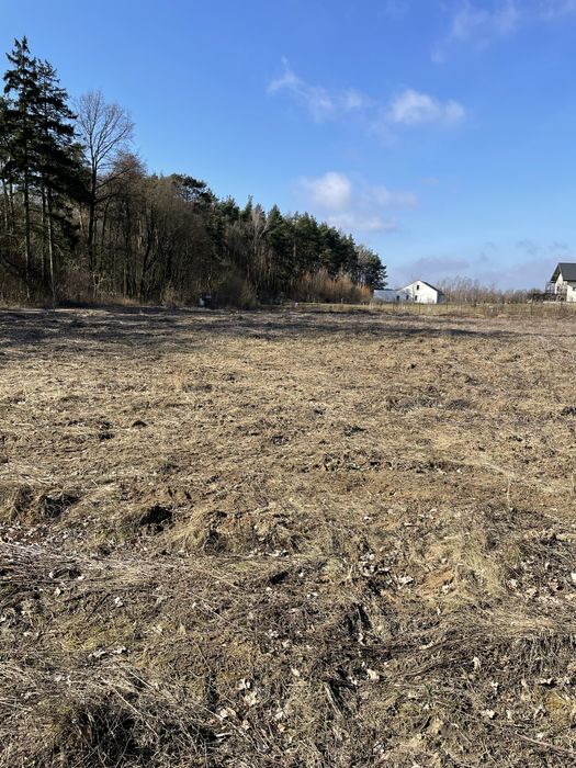 Dzialki 2km od Torunia bez posrednikow - Widok 3