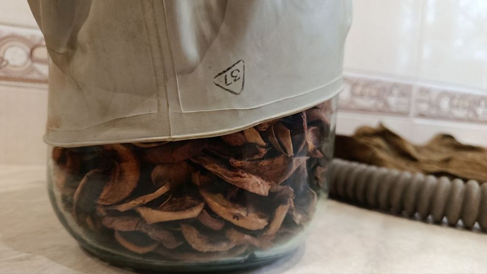 Обменяю противогаз шм-41му