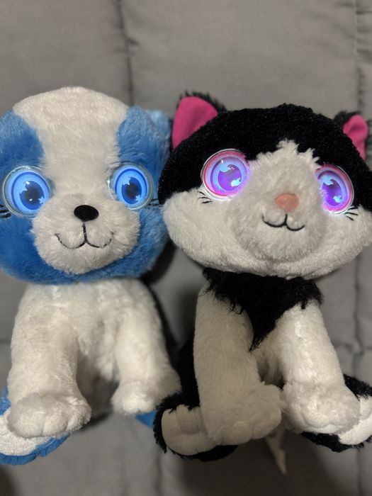 Песик і кицька bright eyes pets