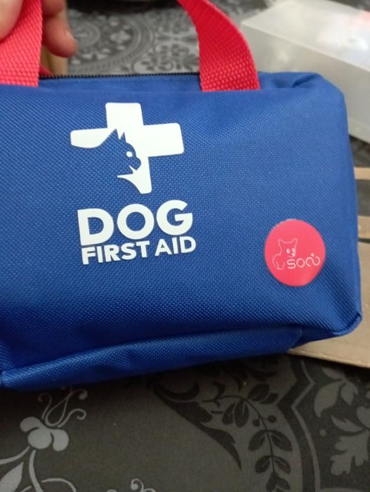 Primeiro socorro de cães e gatos