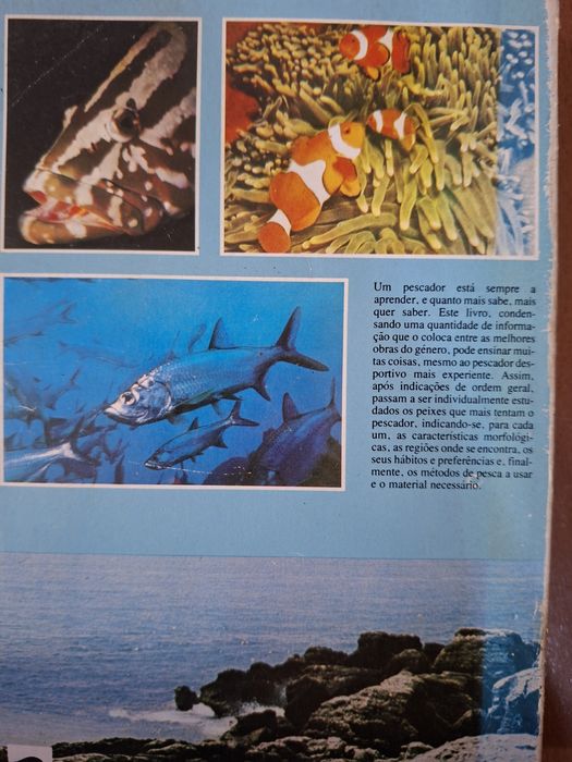 Os Segredos da Pesca