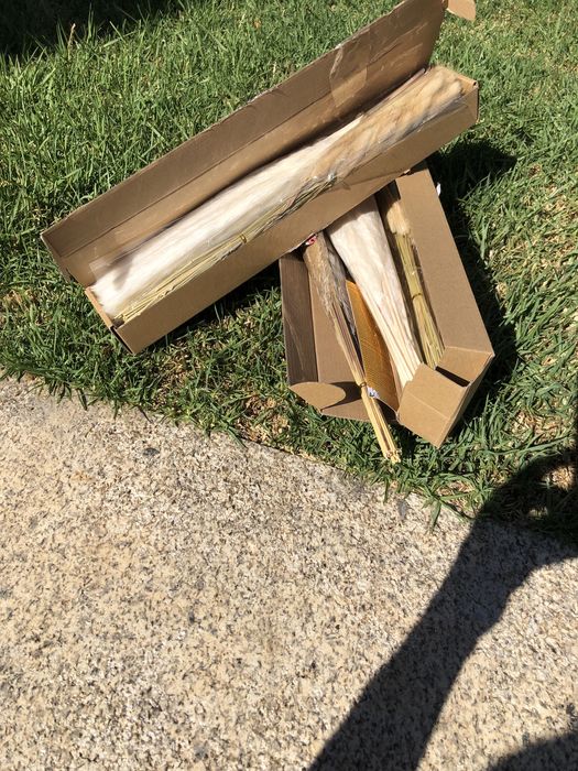 Flores secas naturais