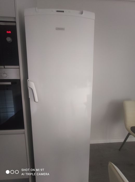 Arca congeladora no frost vertical