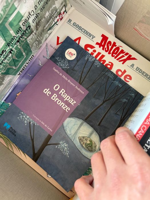 Livros variados, pequenos, infanties LER+ plano nacional de leitura