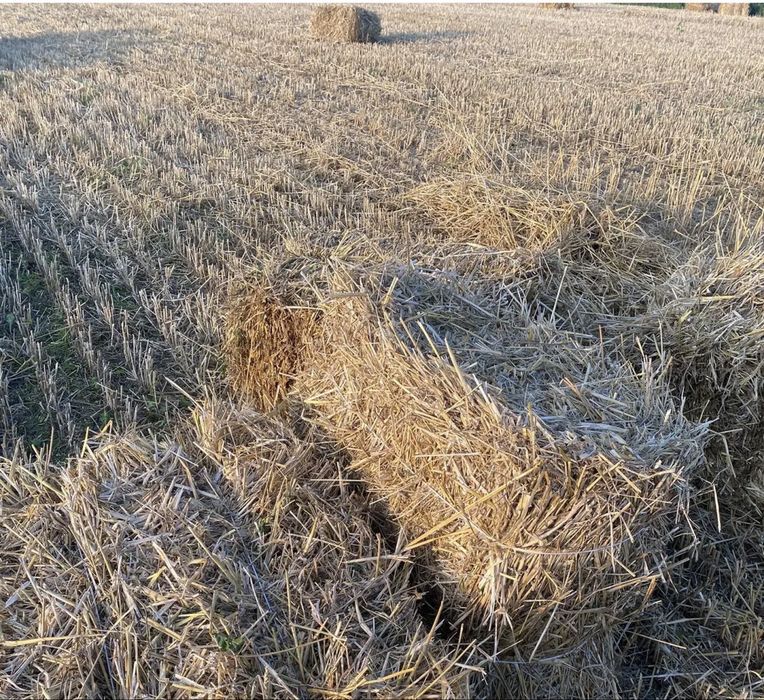 Продажа тюків соломи