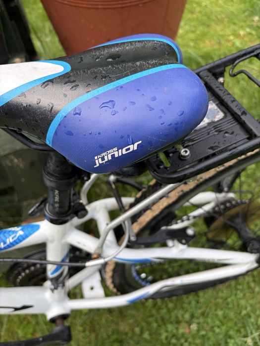 Rower Kross Hexagon 24