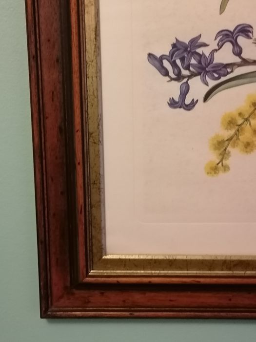 Quadro Cerejeira 73,5 x 59,5cm