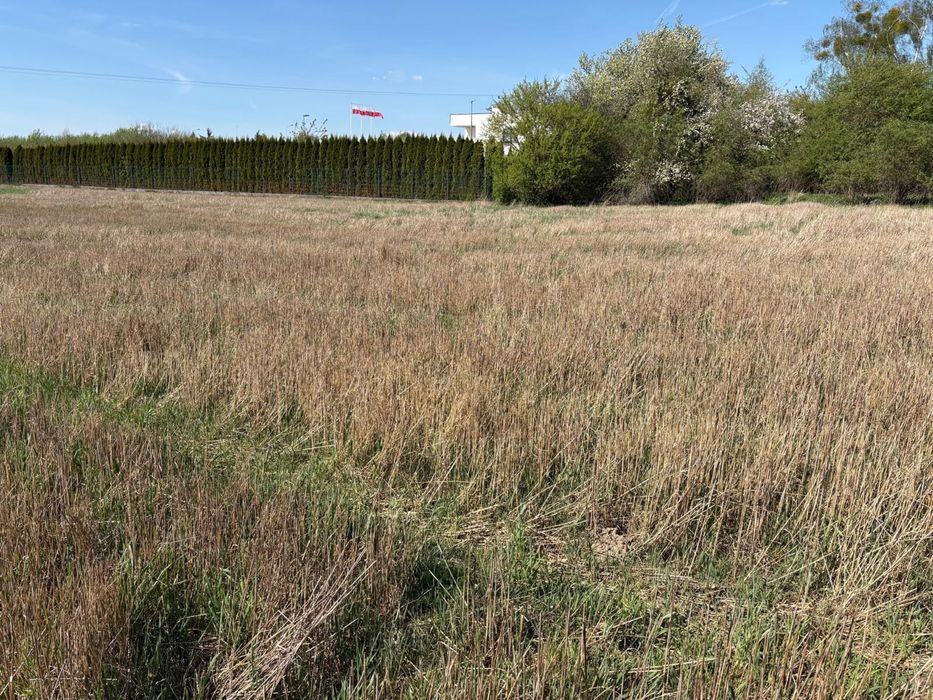 Działka budowlana nr 215/42