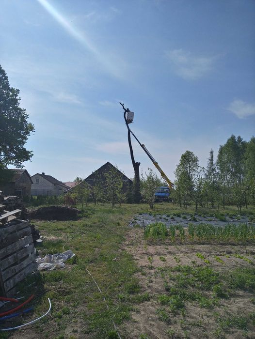 Podnośnik koszowy usługi i wynajem