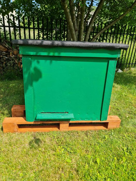 Ule warszawskie poszerzane