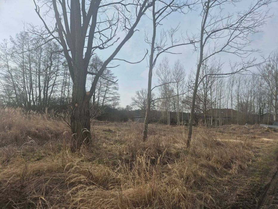 Wynajmę Działka rolna 59ar 7km od Opola - Falmirowice, niedaleko woda, prąd - Widok 3