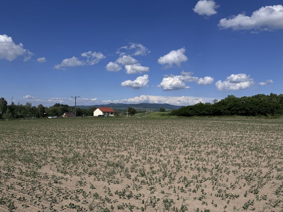 Sprzedam działki budowlane Kłodzko ul. Zagórze - Widok 4