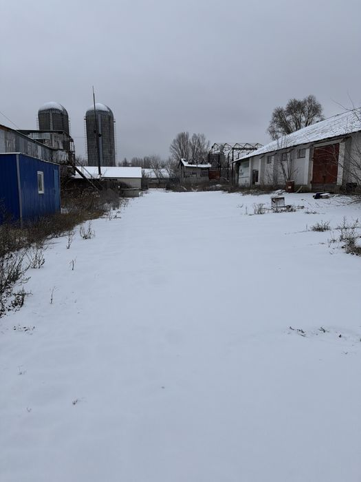 Здам в оренду склад/виробниче приміщення 1000м2