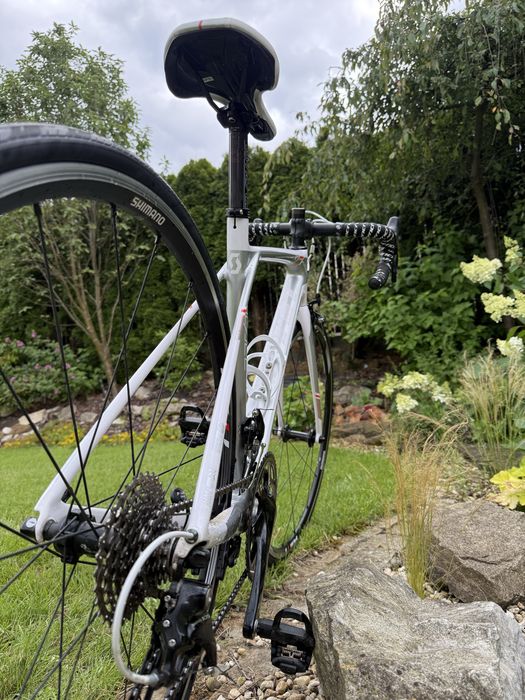 SCOTT Solace Rozmiar S Damski Carbon