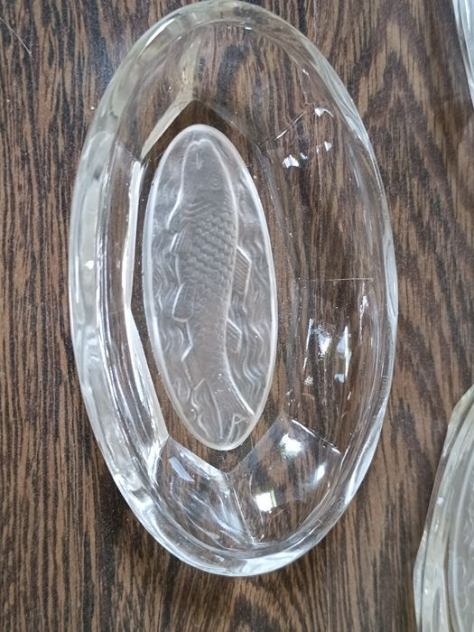 Śledziówka szklana