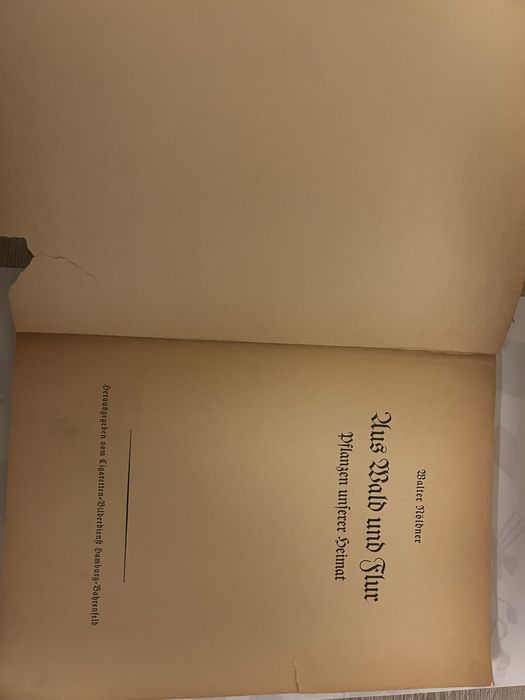 Niemiecki album botaniczny 1937 Aus Wald und Flur