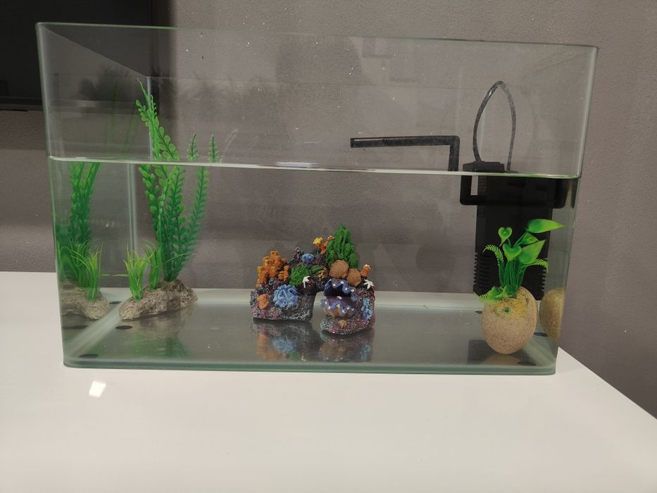 Vendo aquário semi novo