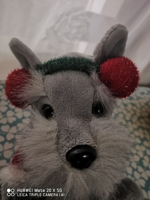 Cão do natal com música