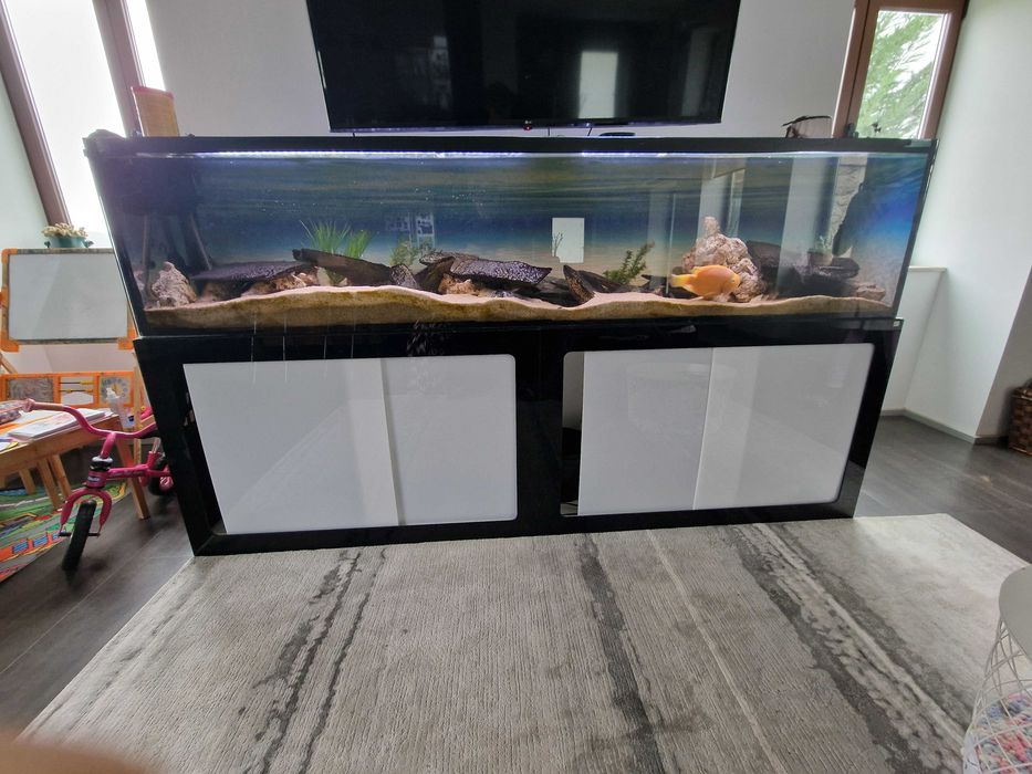 Aquario 2500mm completo