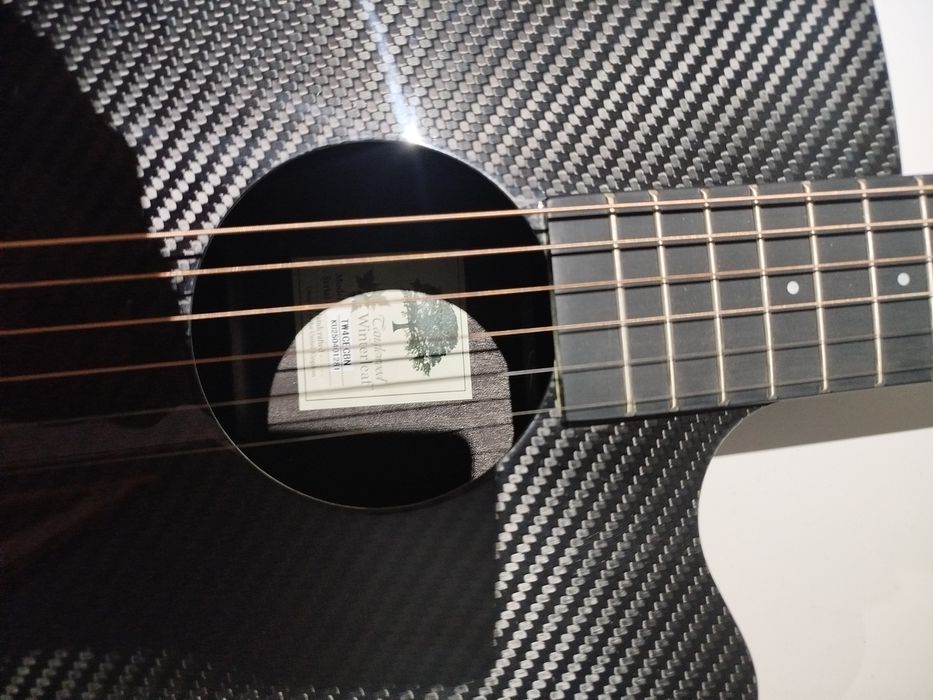 Guitarra Tanglewood Winterleaf

egitana.pt
Tanglewood tw4cecbn Winterl