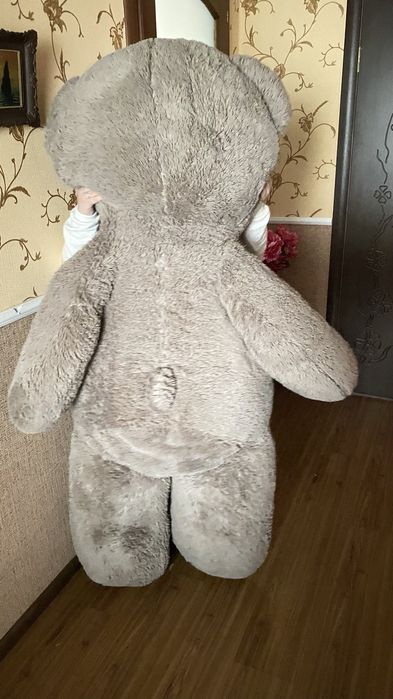 Великий мякий медвідь