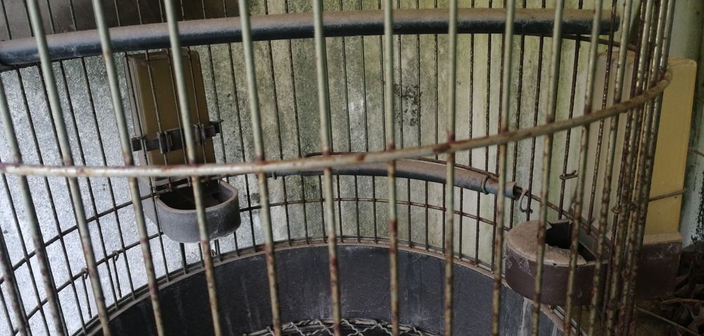 Gaiola para pássaros