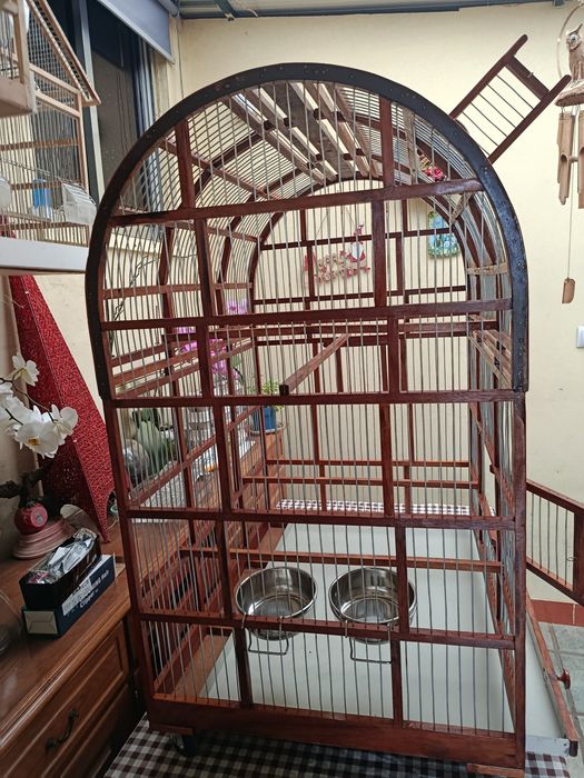 Gaiola para papagaio e afins