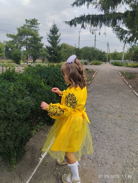 Вишиванка,святкова