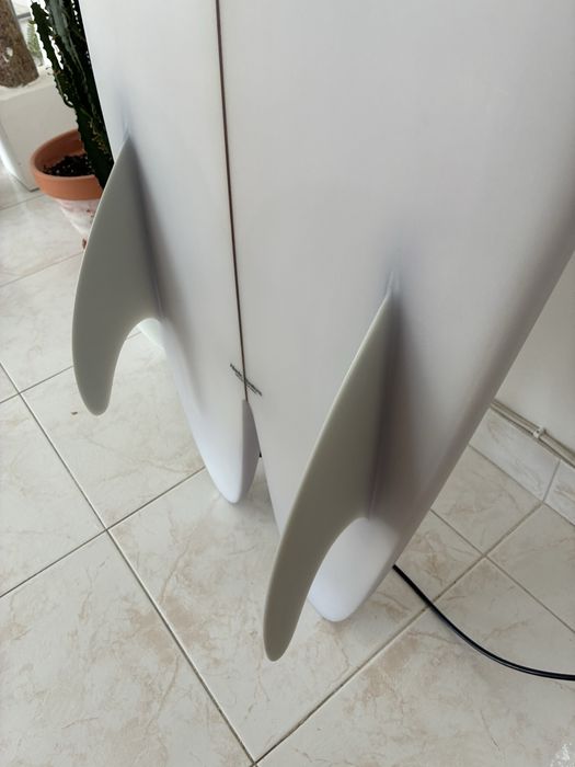 Fish Hull Fantastic Acic
