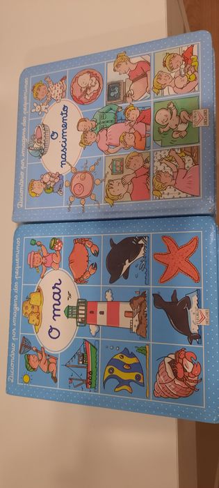 Lote Dicionários por imagens dos pequeninos