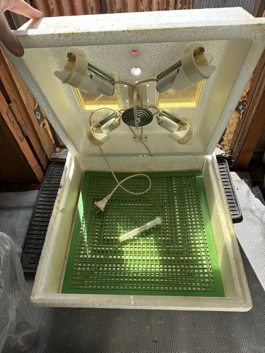 Інкубатор квочка б/у