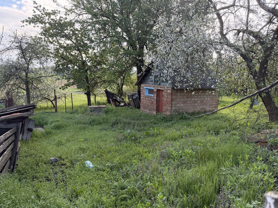 Дім з земельною ділянкою в с. Веселівка