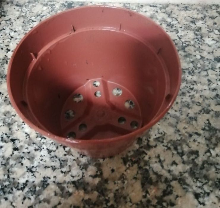 Vaso plástico cultivo ou flores