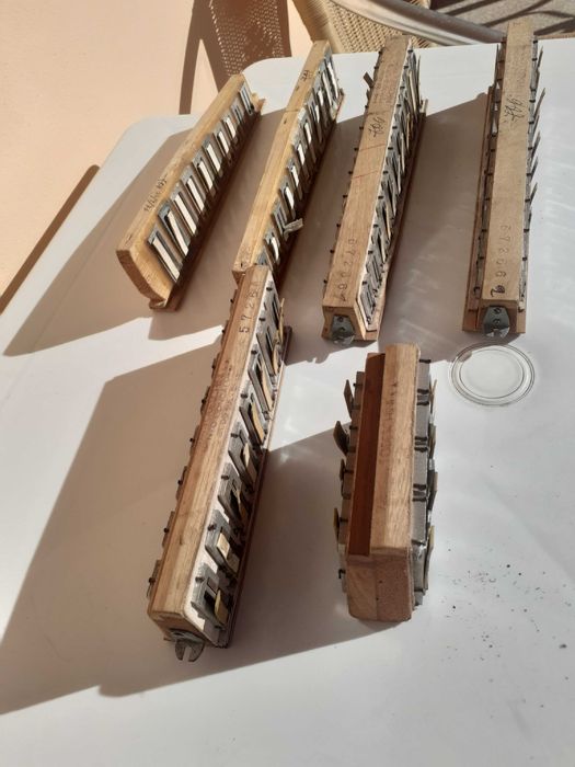 Vozes consertina todeschini