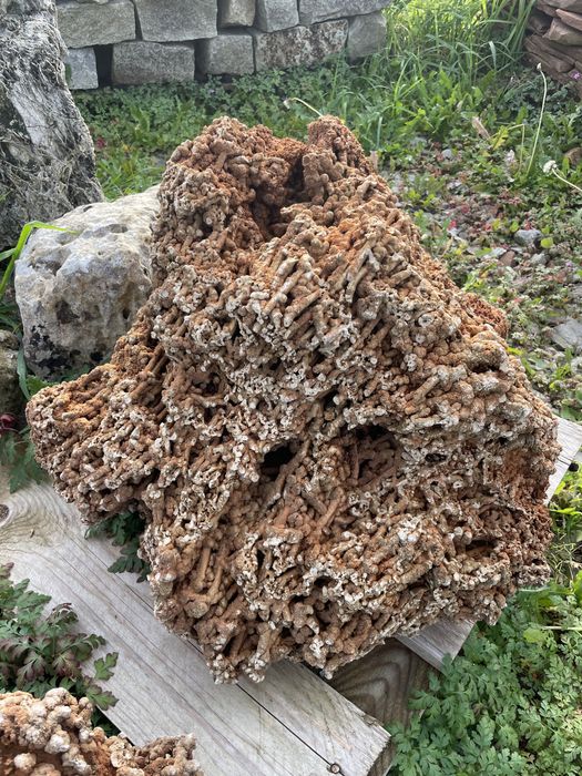 Czerwony Wapień Spaghetti Skała do Akwarium Malawi Tanganika