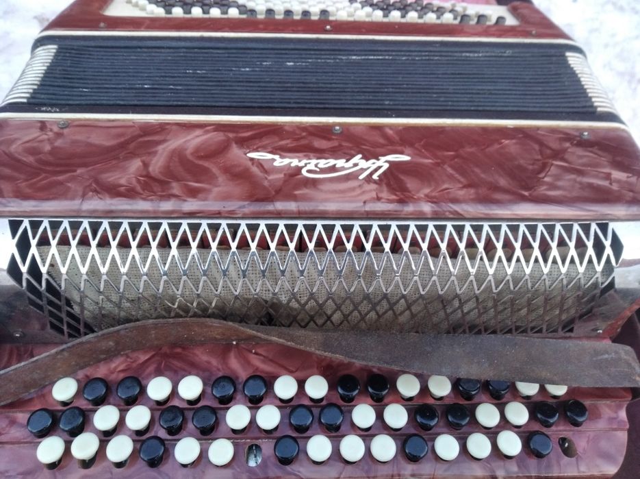 Аккордеон Украина.