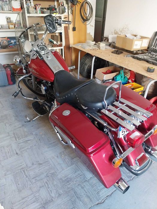 Road King vendo contrariado