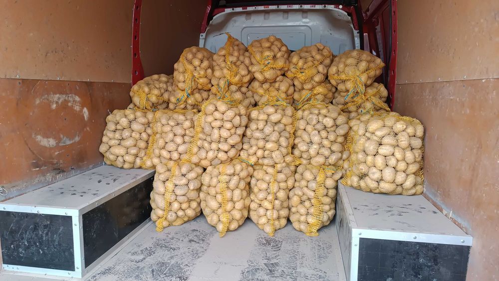 Ziemniaki jadalne odmiana soraya piękny towar