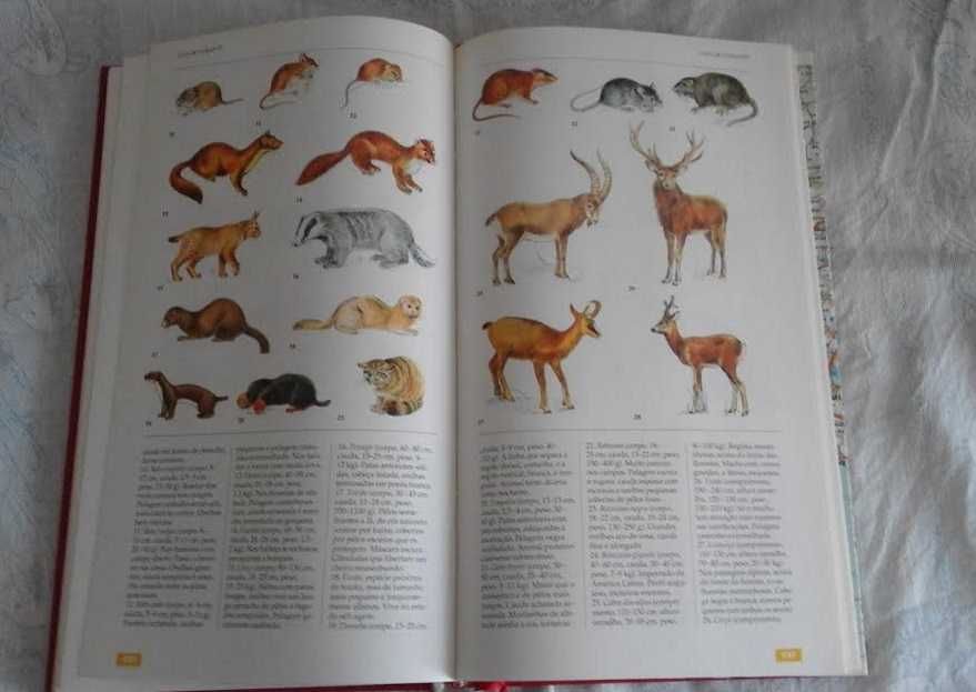 O grande livro das estradas, e outros ler descrição anúncio