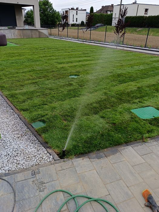 Zakładanie Trawników, Prace Ogrodnicze, niwelacja terenu