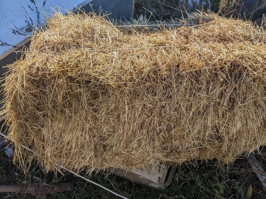 Продам сіно в тюках