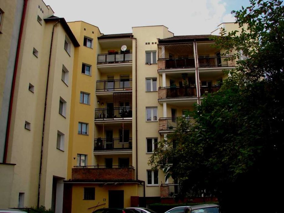 Mieszkanie studenckie do wynajęcia.