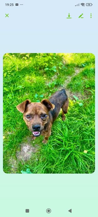 Kochany słodziak Ravel