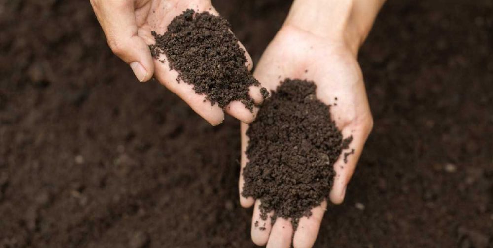 Czarnoziem – ziemia czarna - workowana | WYSYŁKA | PALETY | DOSTAWA