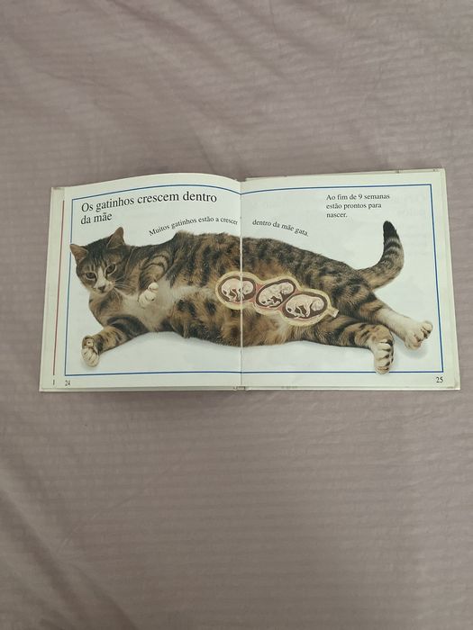 Livro - De onde vêm os bebés