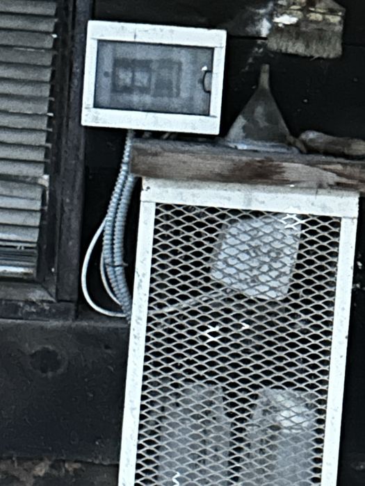 Курятник в зборі